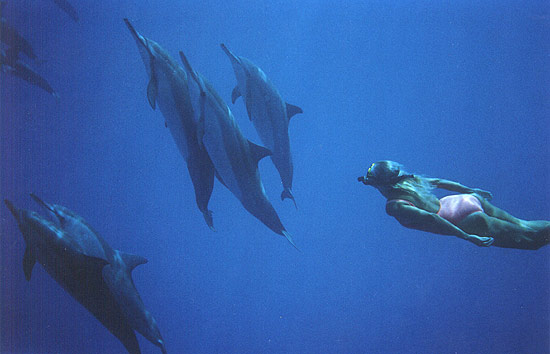 Joan swimming free with her friends.